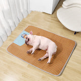 Seasonal Cooling Mat For Pets