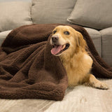 Plush Pet Blanket