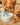 PET FEEDING & HYDRATION