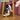 pet laser toy