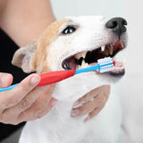 360 Degree Dog Tooth Brush
